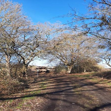 Exklusive Naturoase Direkt Am Ars Natura Wanderweg Mit Panoramablick Auf Melsungen Kültér fotó
